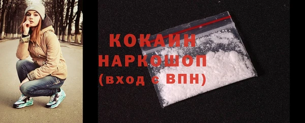 твердый Протвино