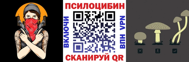 Галлюциногенные грибы Psilocybine cubensis Нытва
